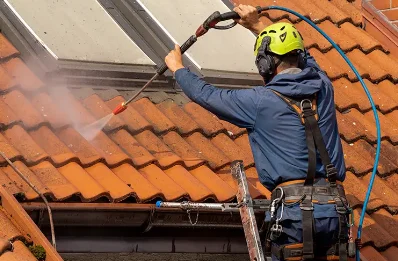 Démoussage et hydrofuge de toiture à Sainte-Néomaye